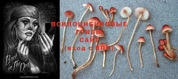 героин Дмитриев