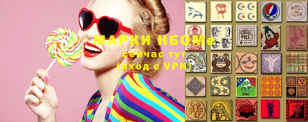 дмт Дмитров
