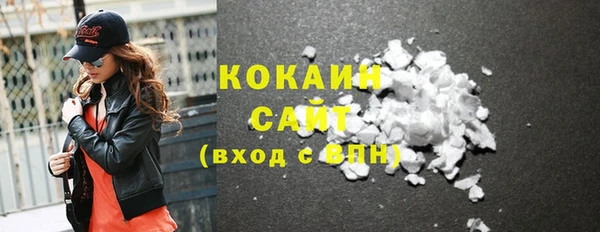 дмт Дмитров