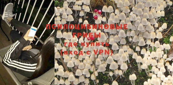 прущая мука Ельня