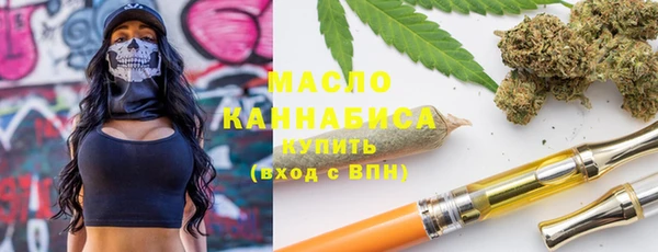 дмт Дмитров