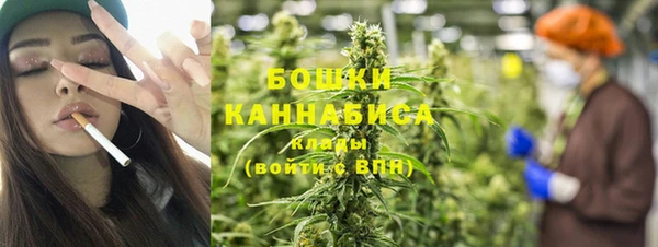 дмт Дмитров
