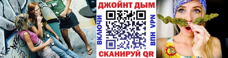 Купить  Кингисепп  Канабис VHQ 